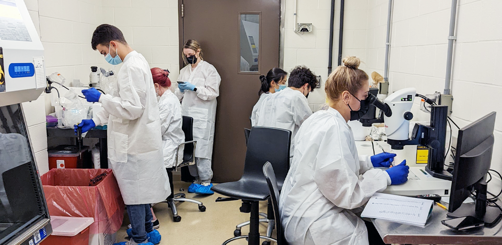 six people wearing lab coats and masks work in a research lab